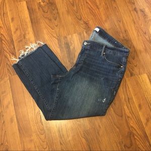 Loft Plus Straight Jeans, Size 20